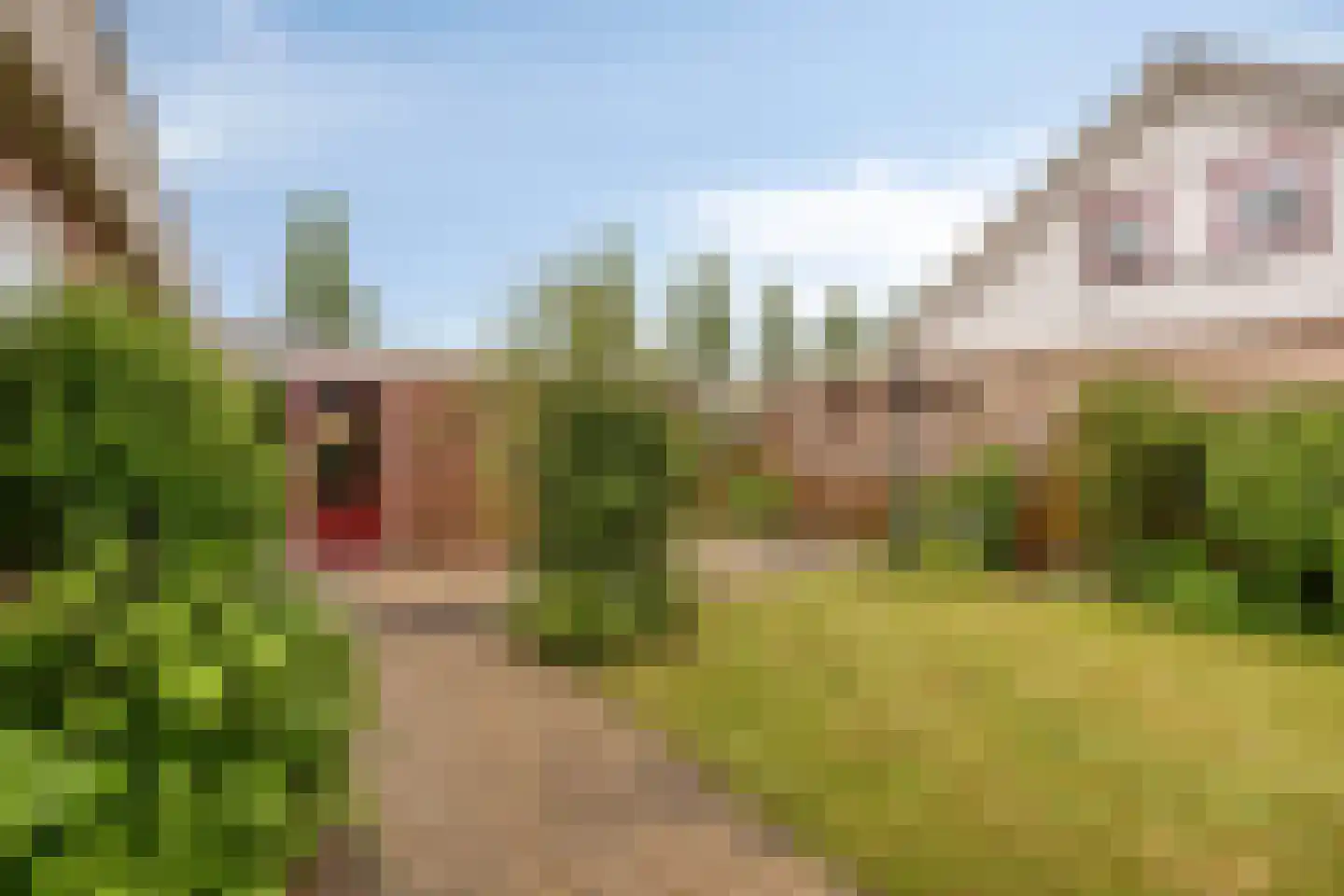 Pelstraat 1 Wolvega thumbnail 27