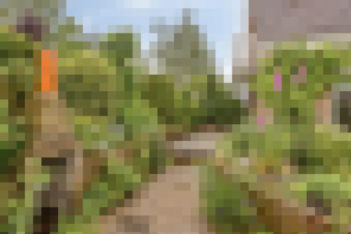 Pelstraat 1 Wolvega thumbnail 30