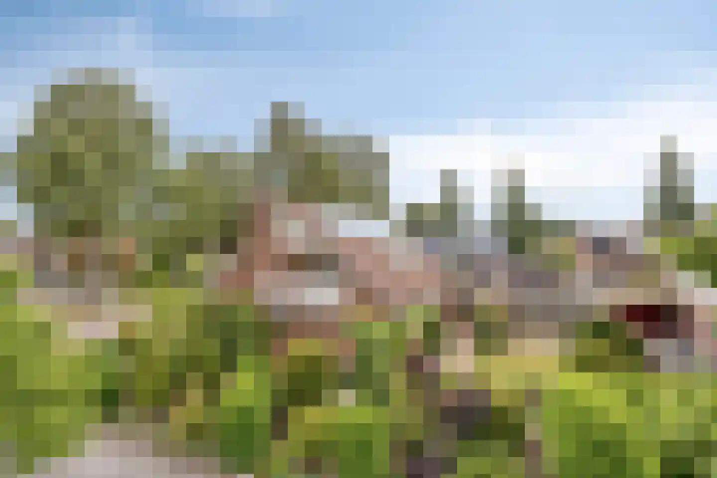 Pelstraat 1 Wolvega thumbnail 35