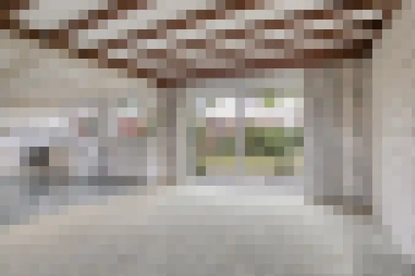 Pelstraat 1 Wolvega thumbnail 4