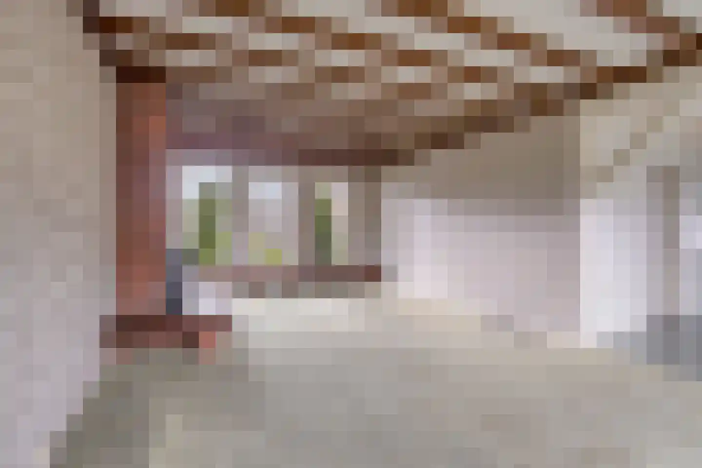 Pelstraat 1 Wolvega thumbnail 5