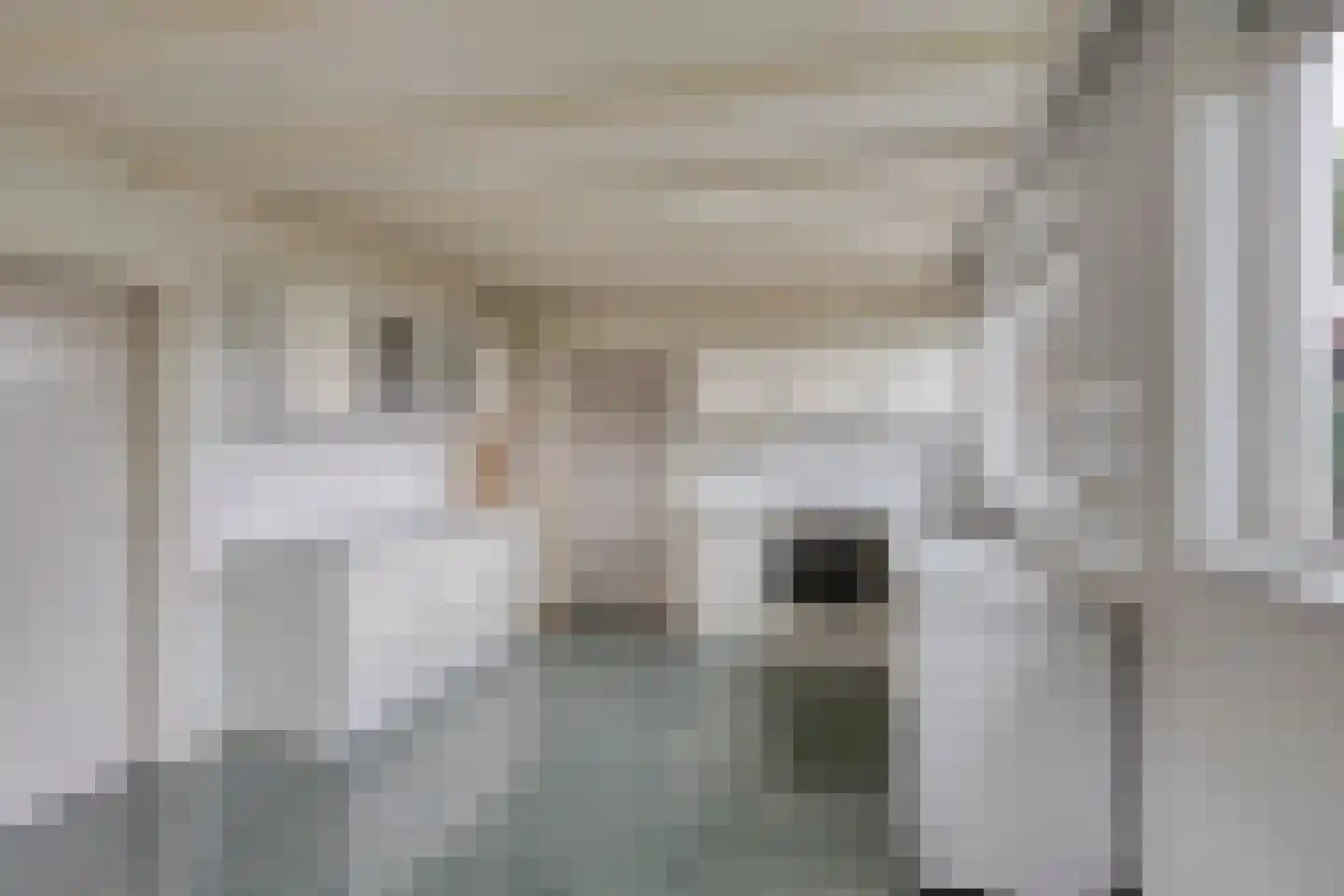 Pelstraat 1 Wolvega thumbnail 8