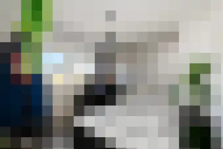 Pelstraat 10 Wolvega thumbnail 25