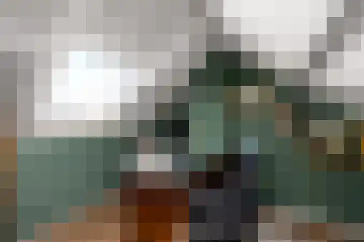 Pelstraat 10 Wolvega thumbnail 31