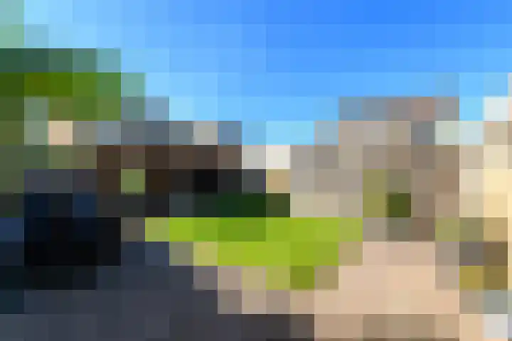 Pelstraat 10 Wolvega thumbnail 35
