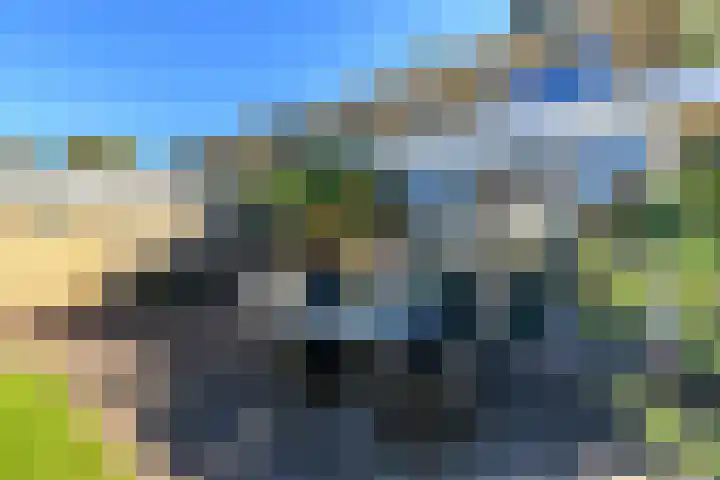 Pelstraat 10 Wolvega thumbnail 36