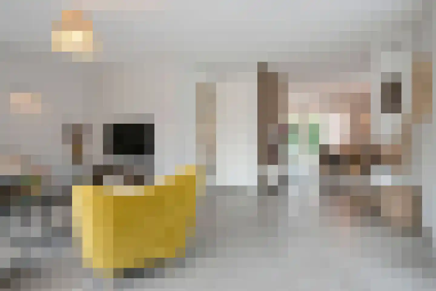 Peltstraat 5 Oosterbeek thumbnail 15