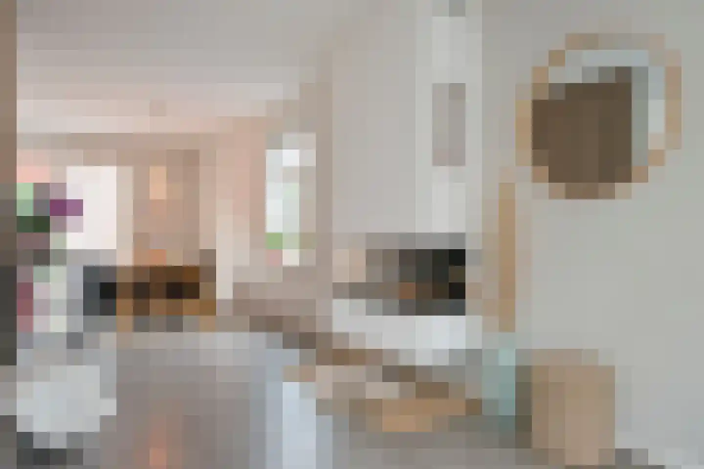 Peltstraat 5 Oosterbeek thumbnail 20
