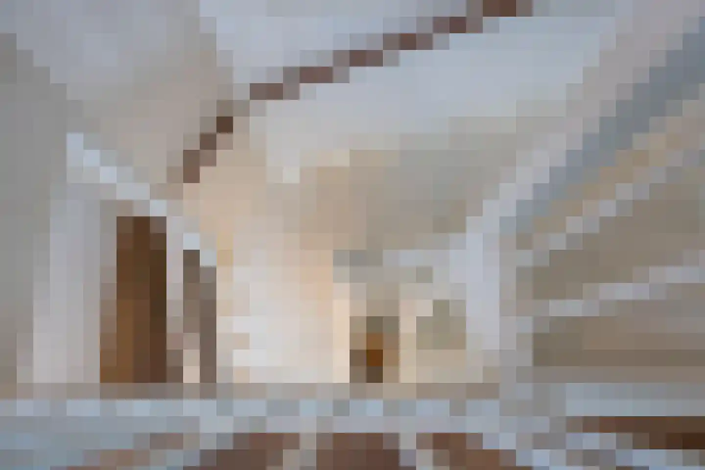 Peltstraat 5 Oosterbeek thumbnail 59