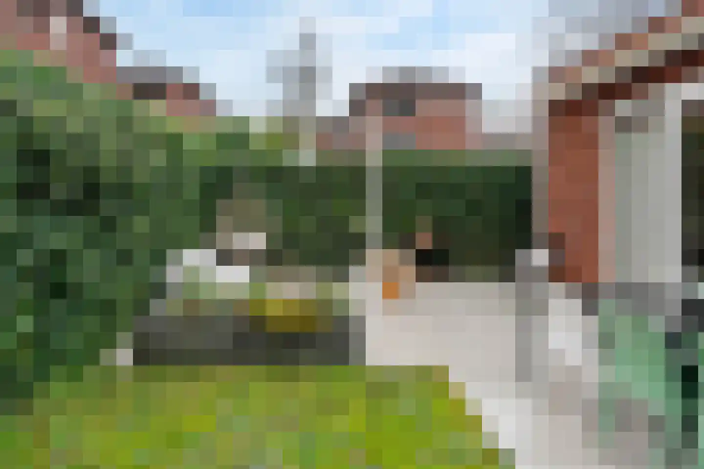 Peltstraat 5 Oosterbeek thumbnail 74