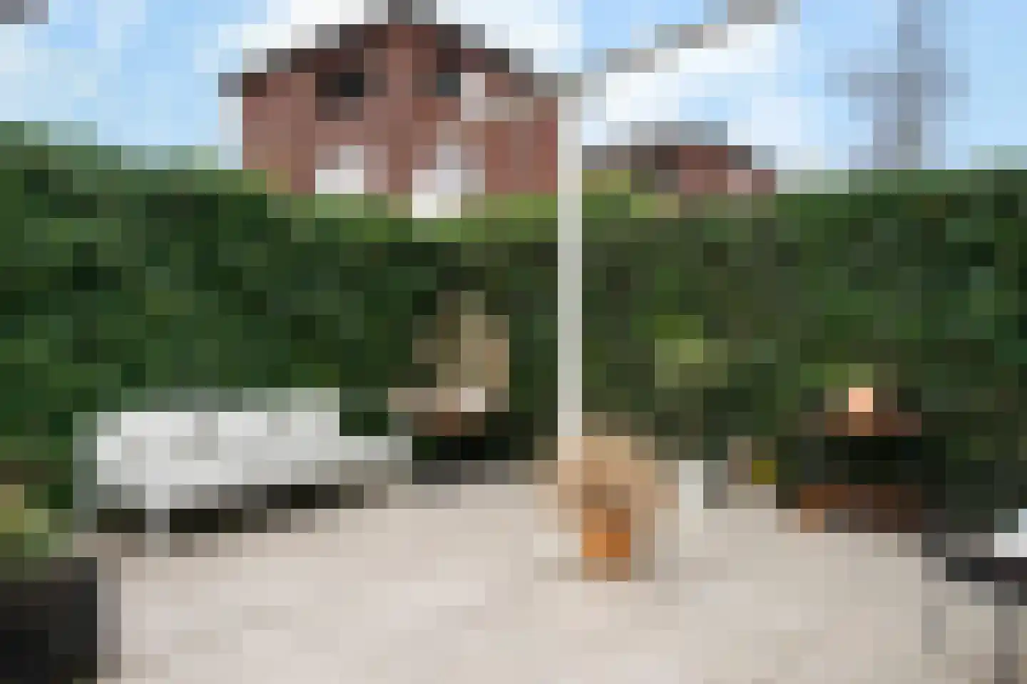 Peltstraat 5 Oosterbeek thumbnail 75