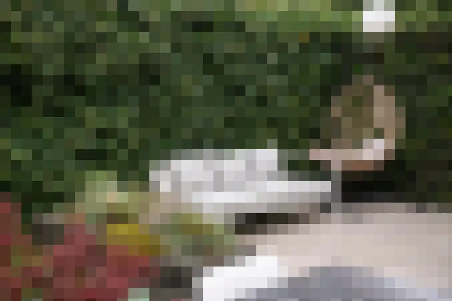 Peltstraat 5 Oosterbeek thumbnail 76
