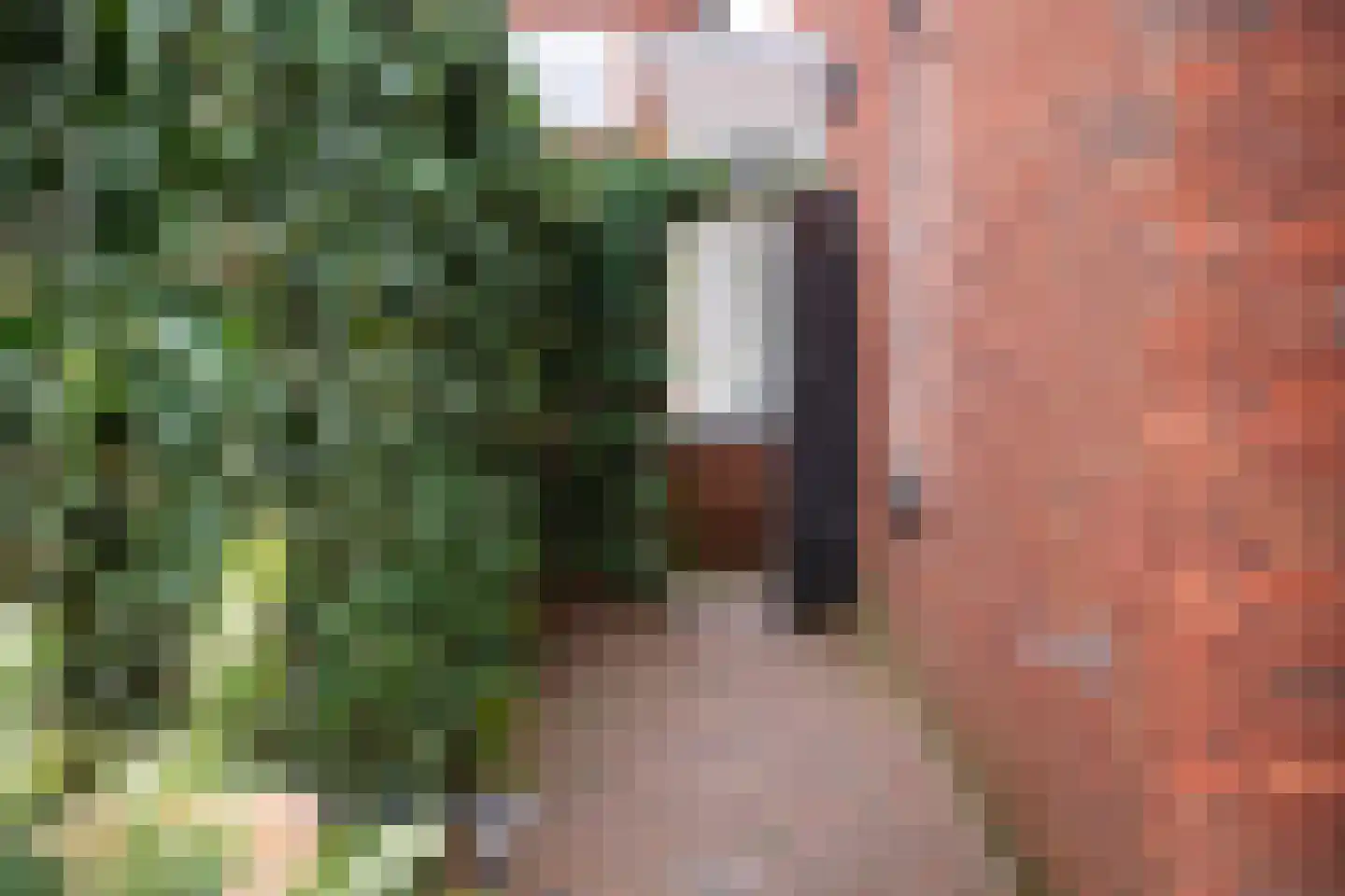 Peltstraat 5 Oosterbeek thumbnail 77