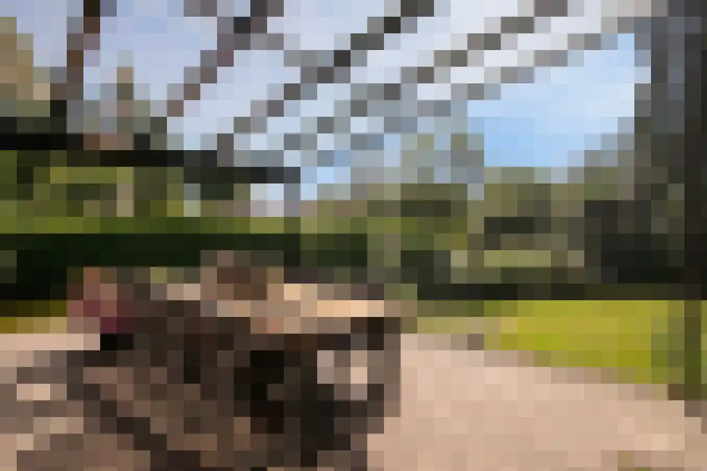 Pelzerpark 19 Epe thumbnail 14