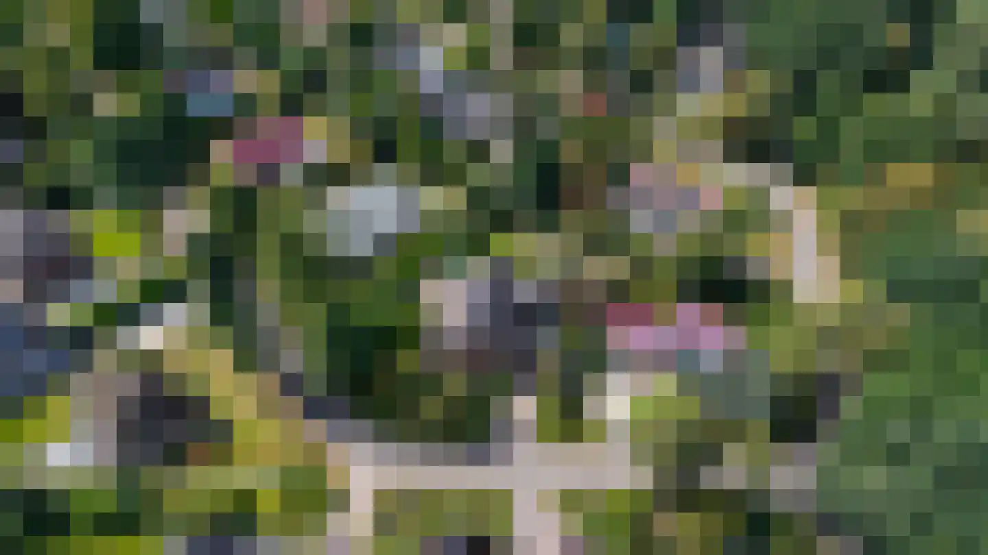 Pelzerpark 19 Epe thumbnail 46