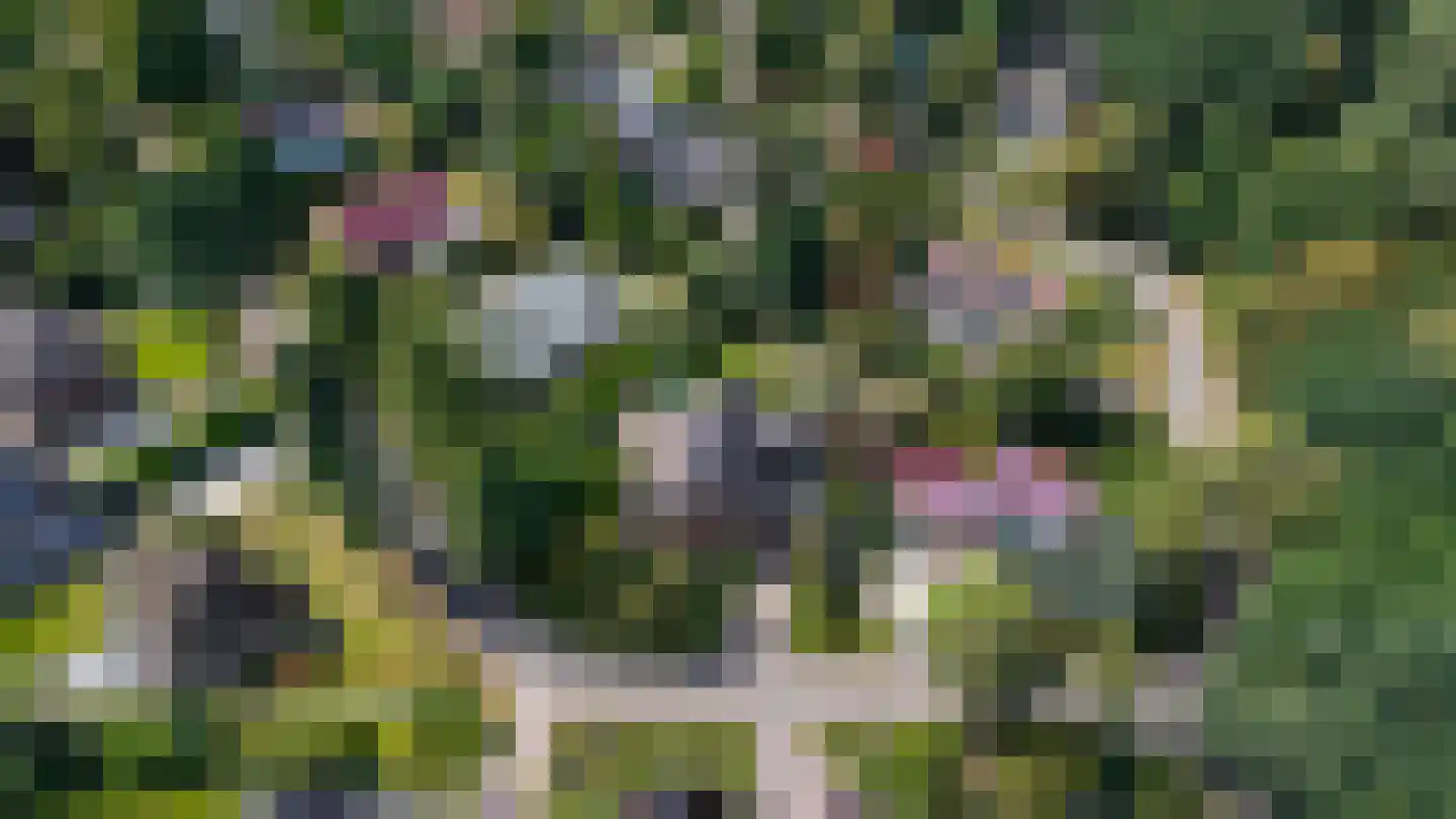 Pelzerpark 19 Epe thumbnail 48