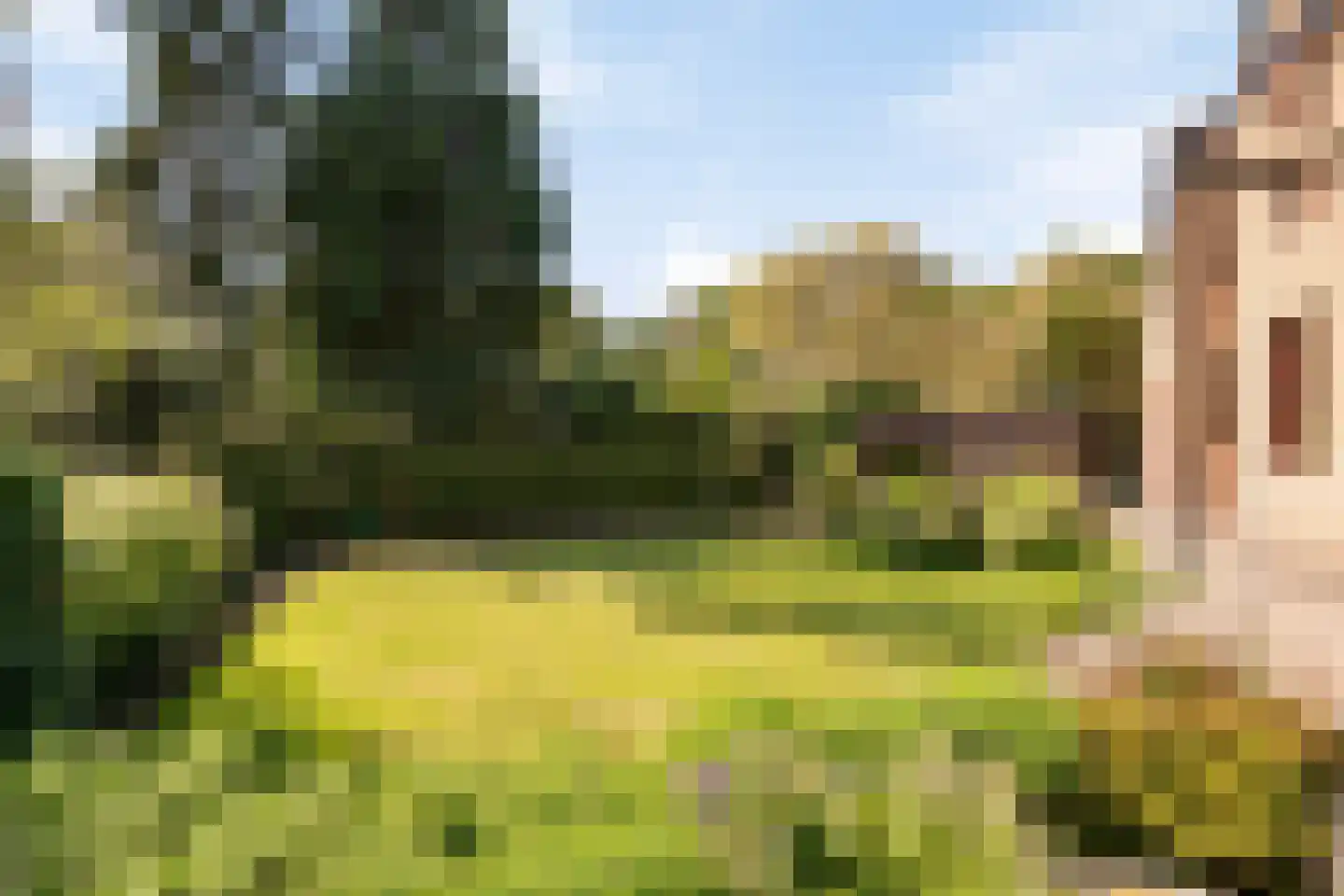 Pelzerpark 19 Epe thumbnail 49