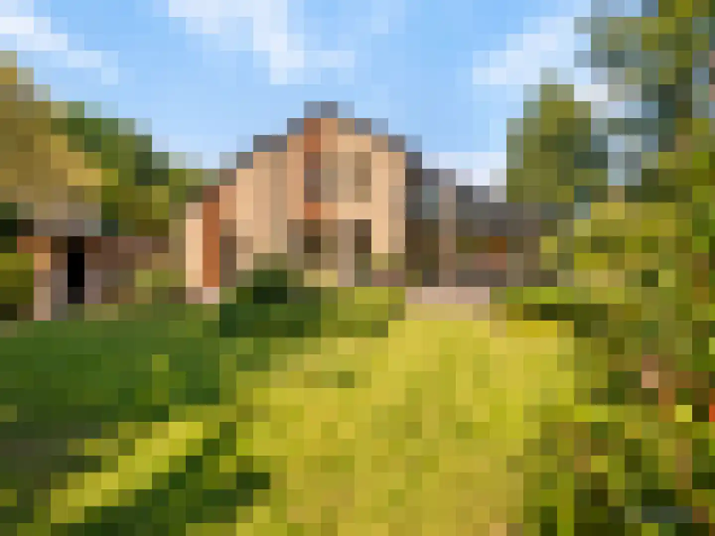 Pelzerpark 19 Epe thumbnail 5