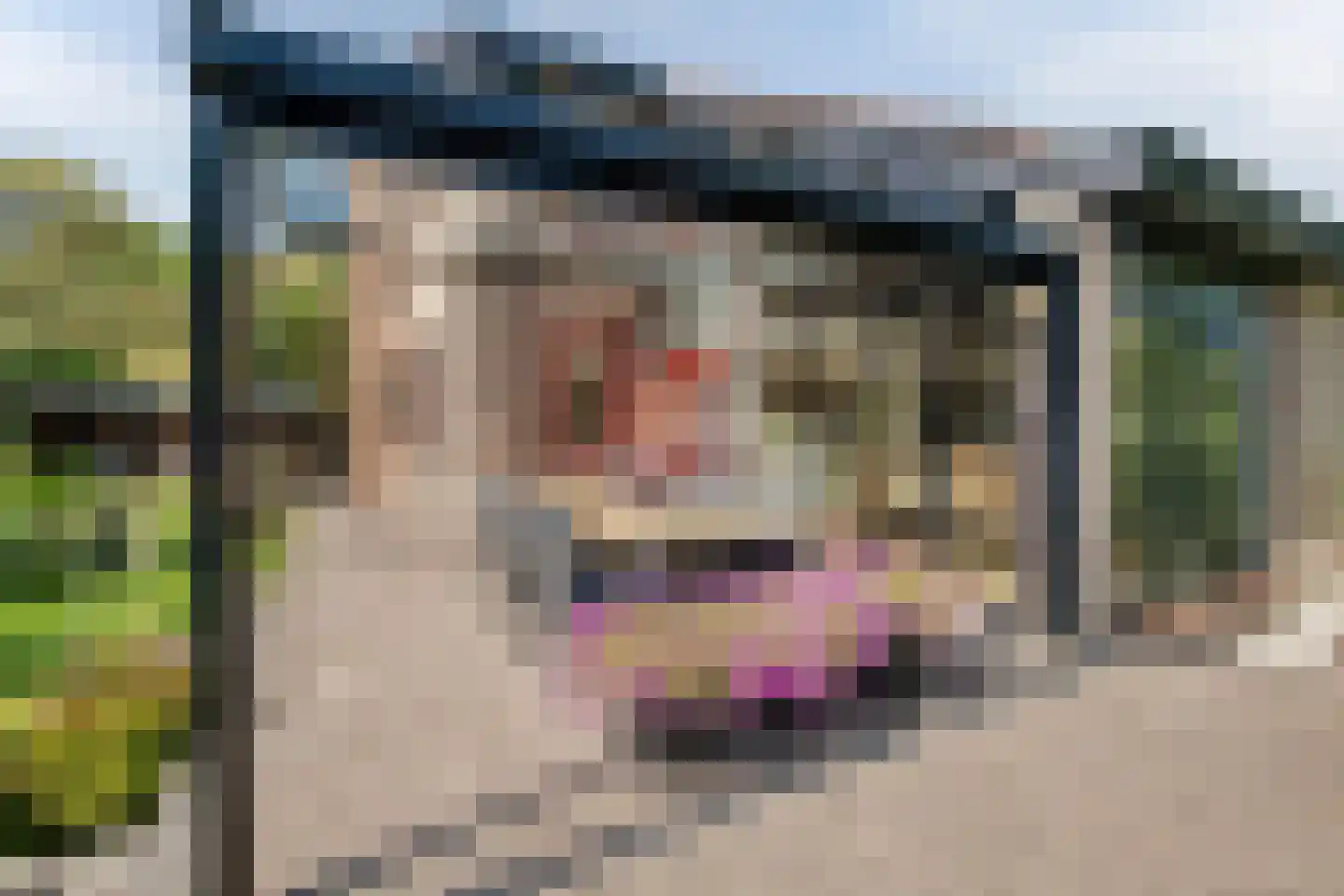 Pelzerpark 19 Epe thumbnail 51