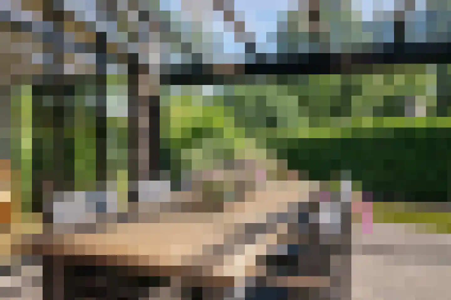 Pelzerpark 19 Epe thumbnail 52