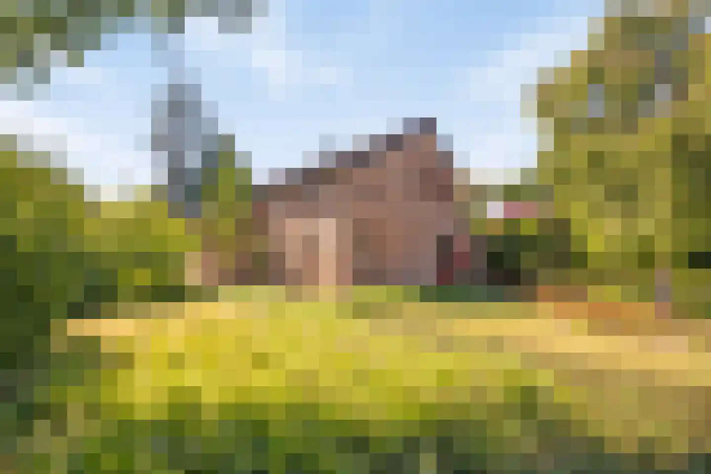 Pelzerpark 19 Epe thumbnail 6
