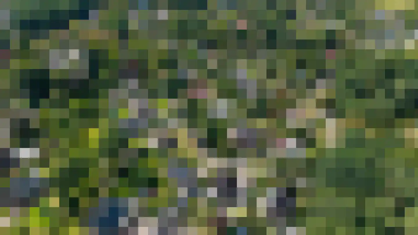 Pelzerpark 19 Epe thumbnail 62