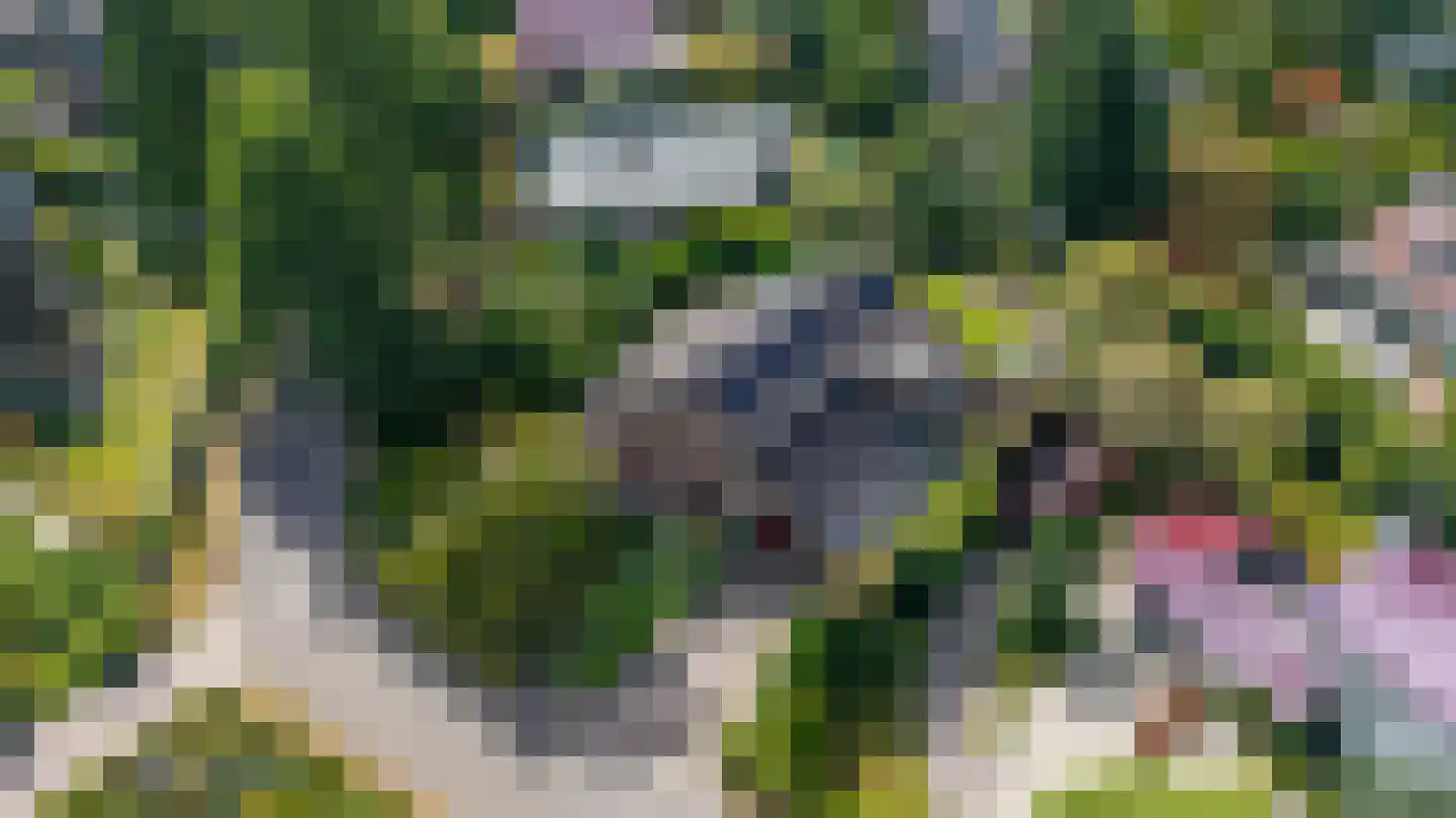 Pelzerpark 19 Epe thumbnail 62