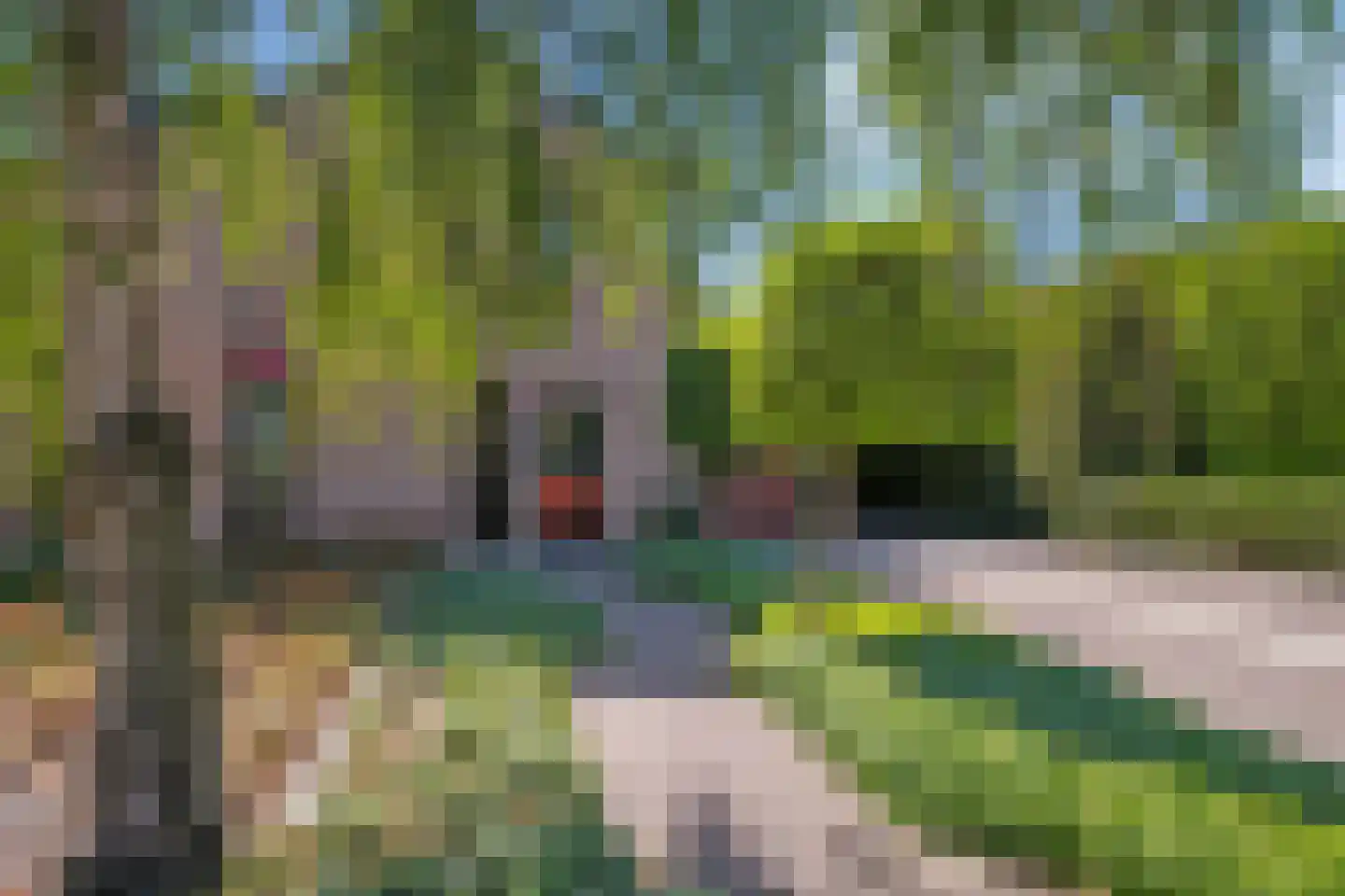 Pelzerpark 19 Epe thumbnail 7