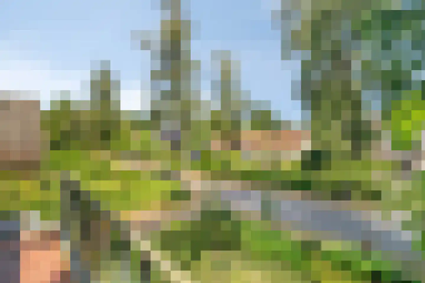 Pelzerpark 54 Epe thumbnail 28
