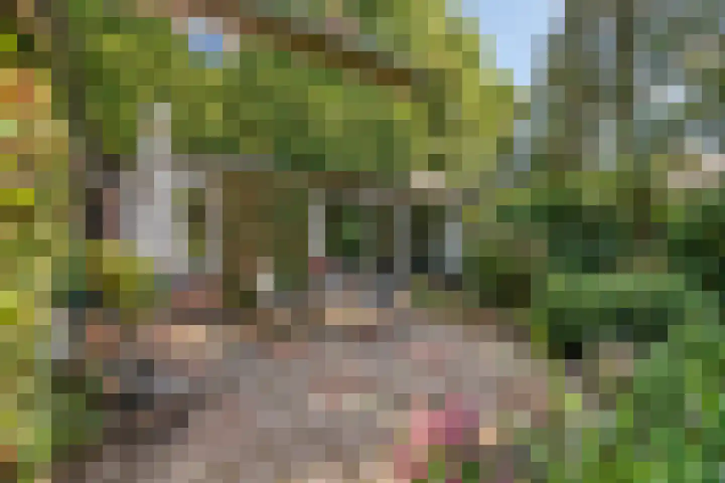 Pelzerpark 54 Epe thumbnail 34