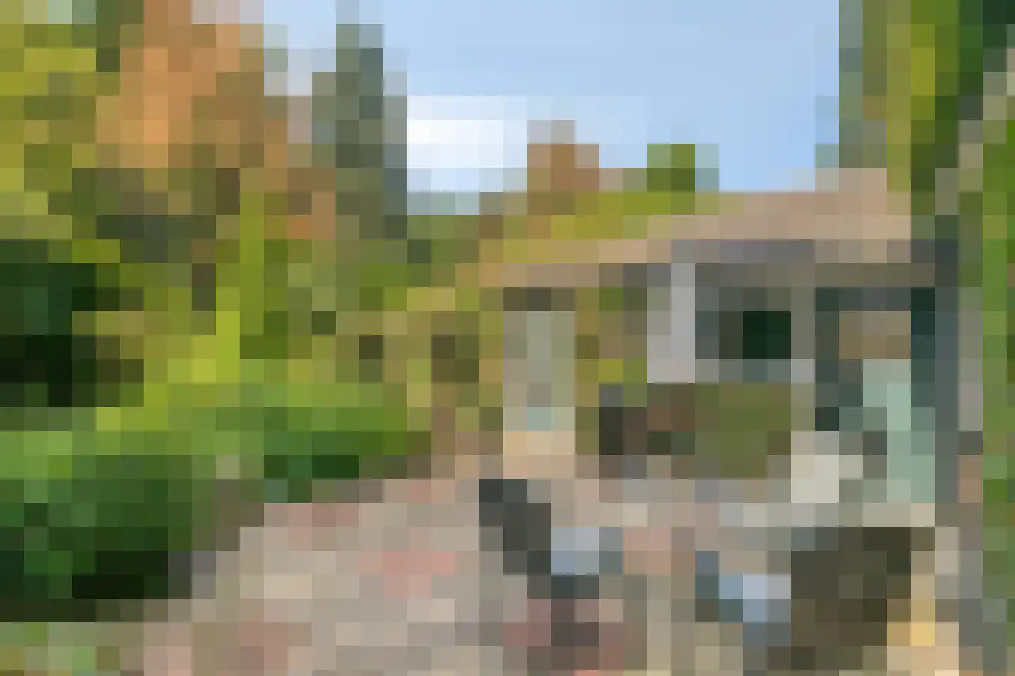 Pelzerpark 54 Epe thumbnail 35