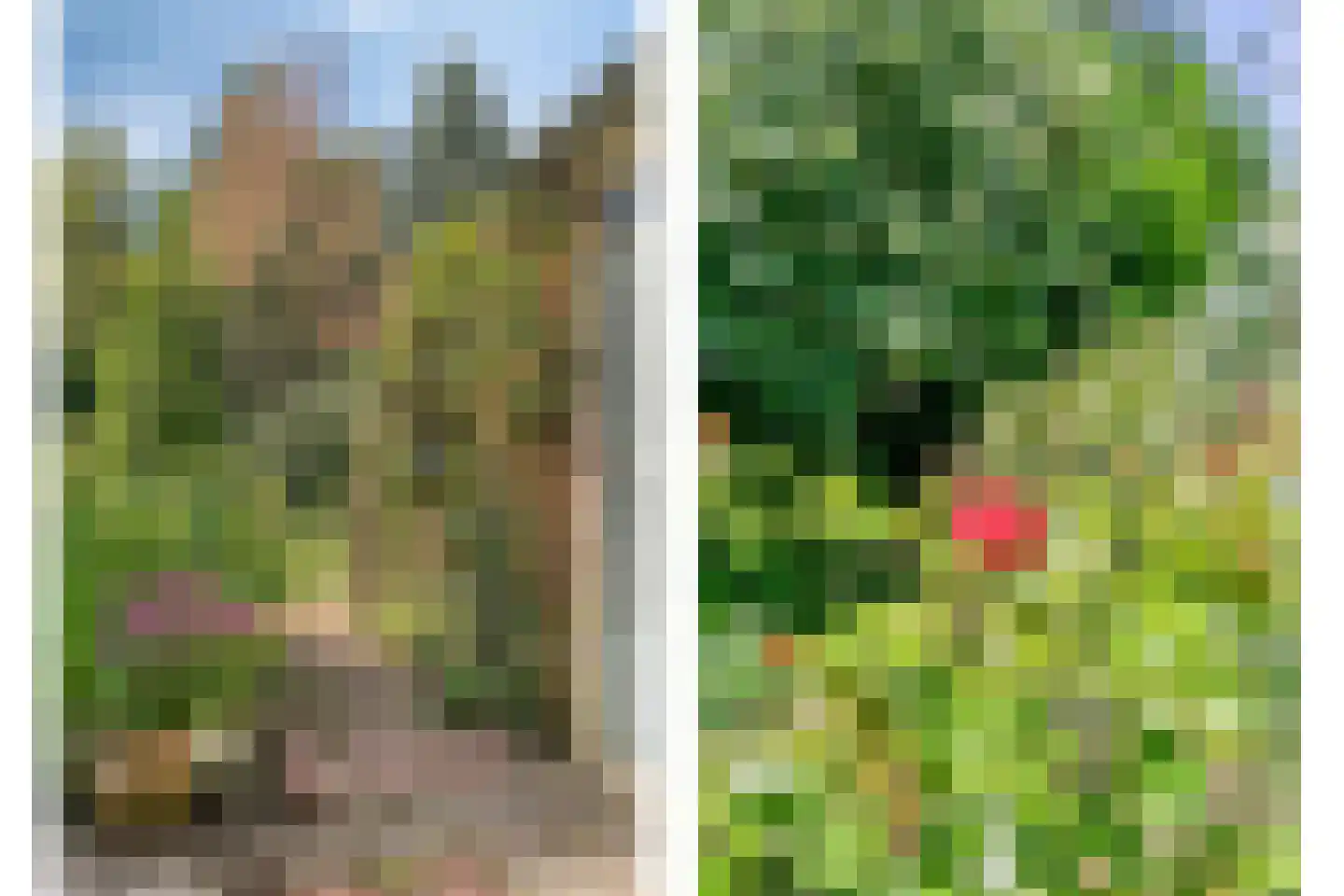 Pelzerpark 54 Epe thumbnail 36