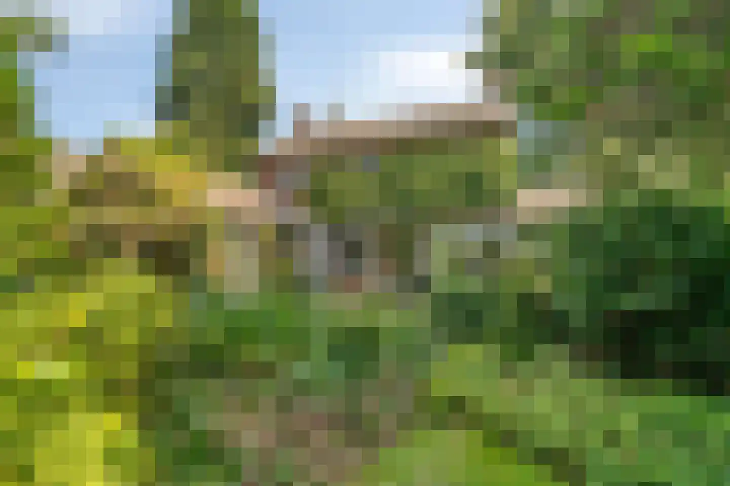 Pelzerpark 54 Epe thumbnail 37