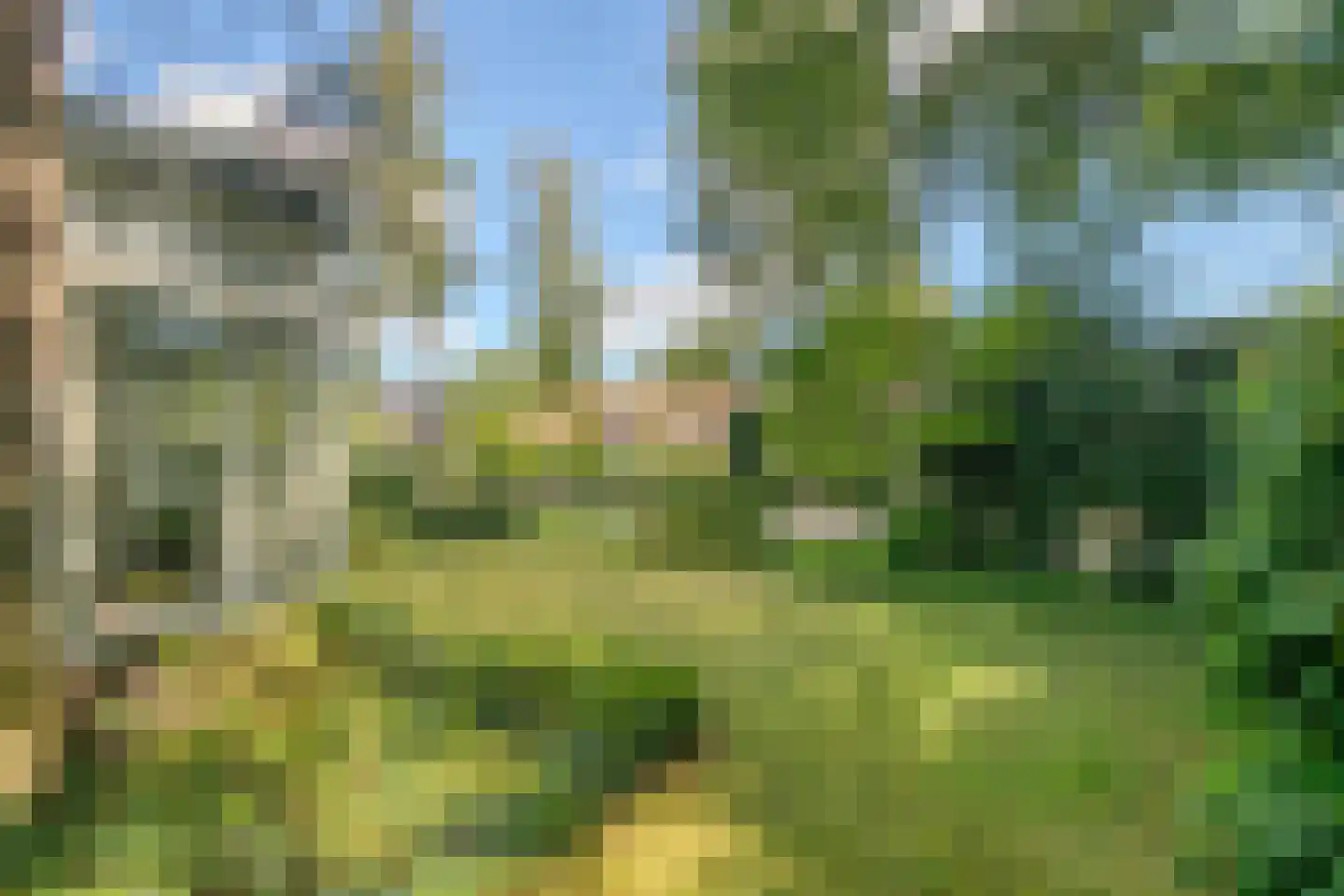 Pelzerpark 54 Epe thumbnail 39