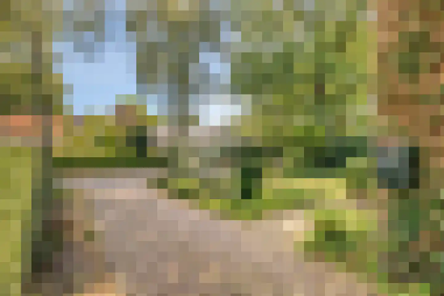 Pelzerpark 54 Epe thumbnail 40
