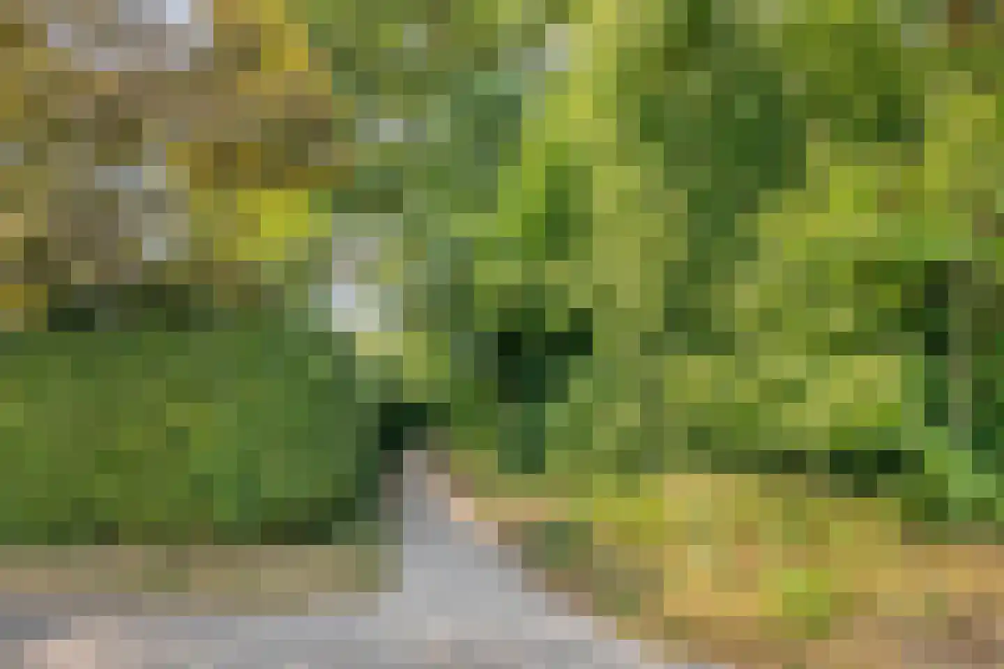 Pelzerpark 54 Epe thumbnail 42
