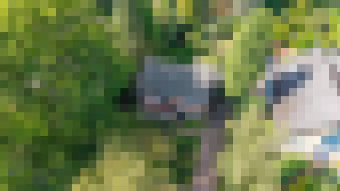 Pelzerpark 54 Epe thumbnail 44