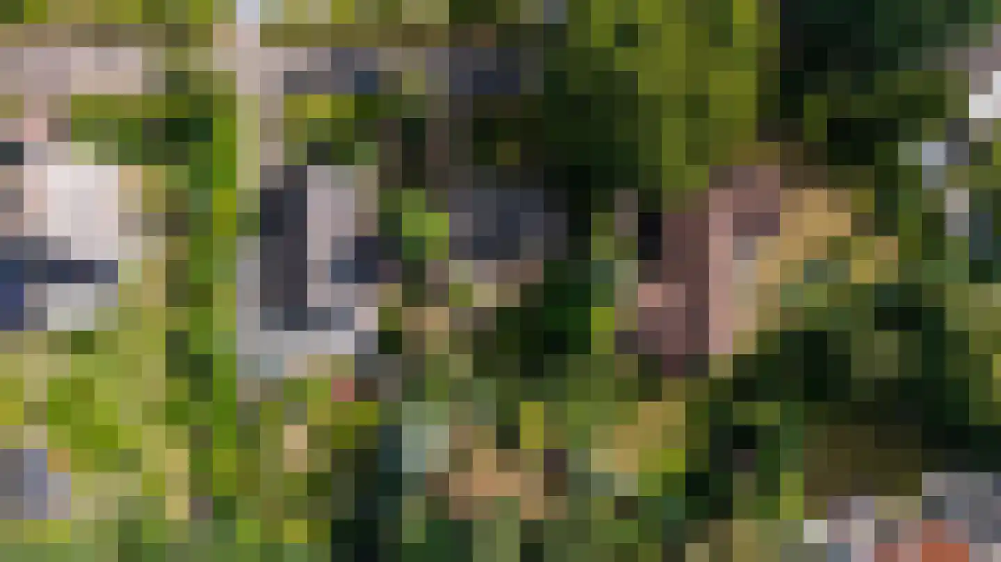 Pelzerpark 54 Epe thumbnail 45