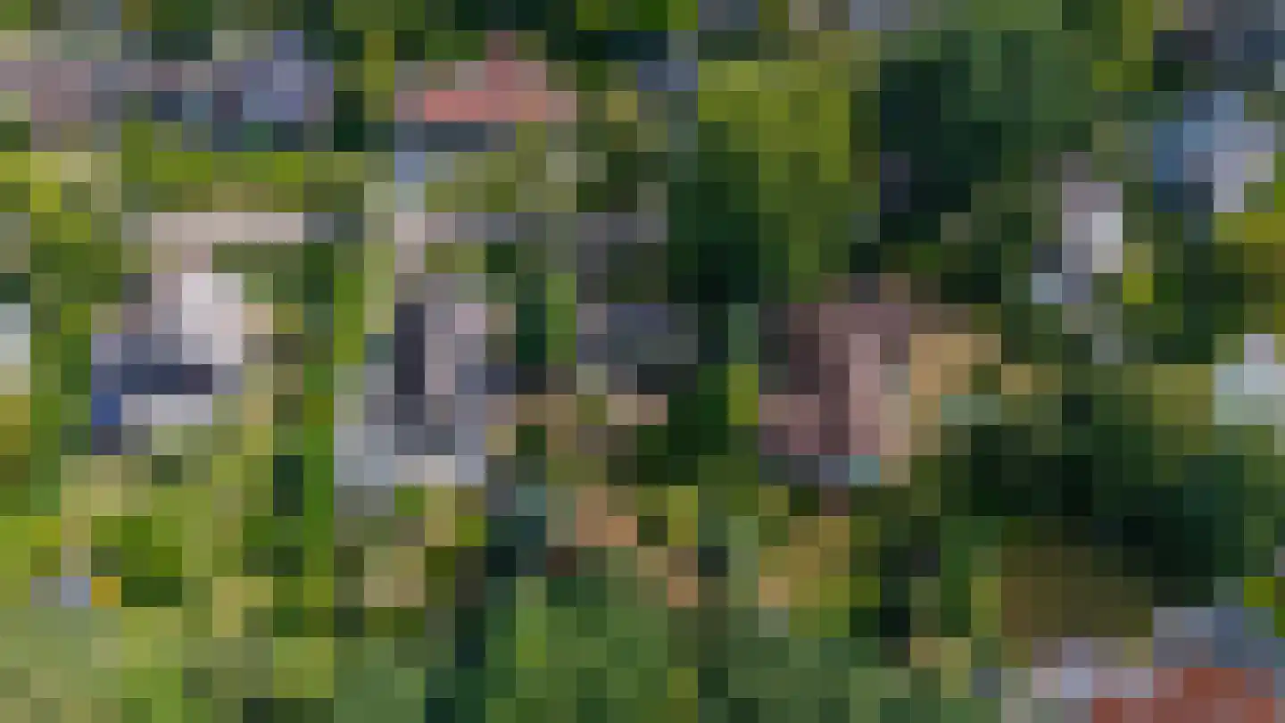 Pelzerpark 54 Epe thumbnail 46