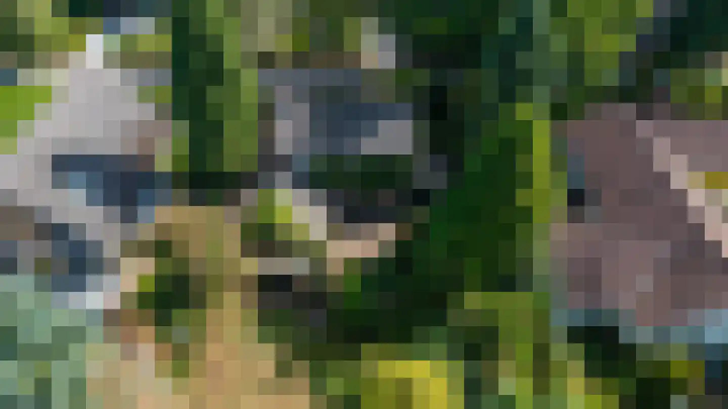 Pelzerpark 54 Epe thumbnail 47
