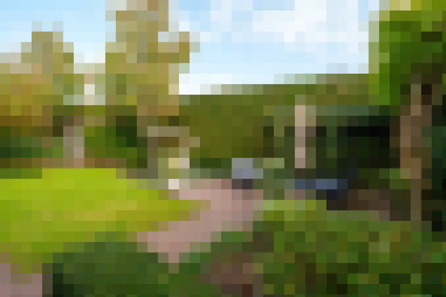 Pembastraat 9 Almere thumbnail 49