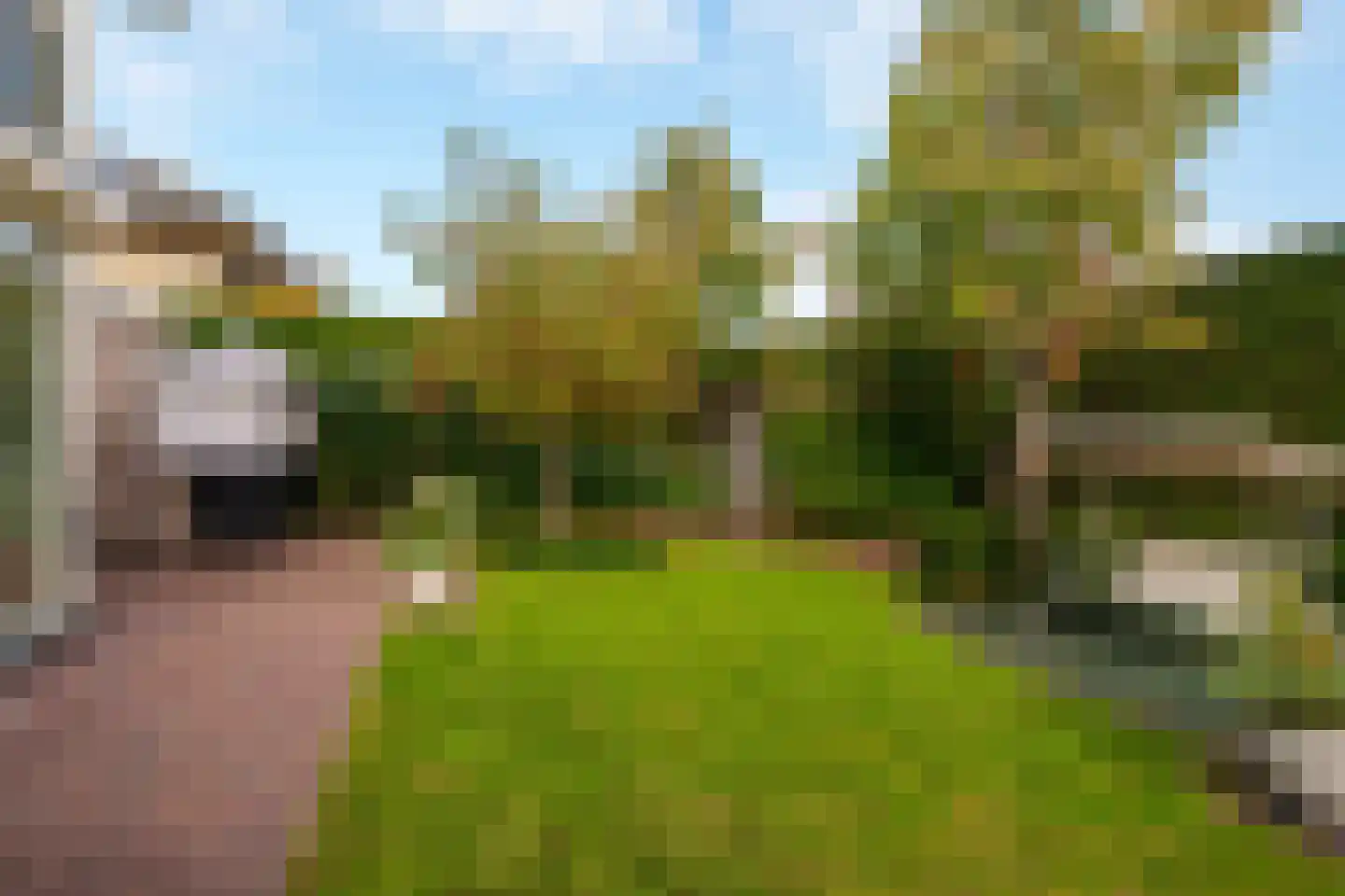 Pembastraat 9 Almere thumbnail 51