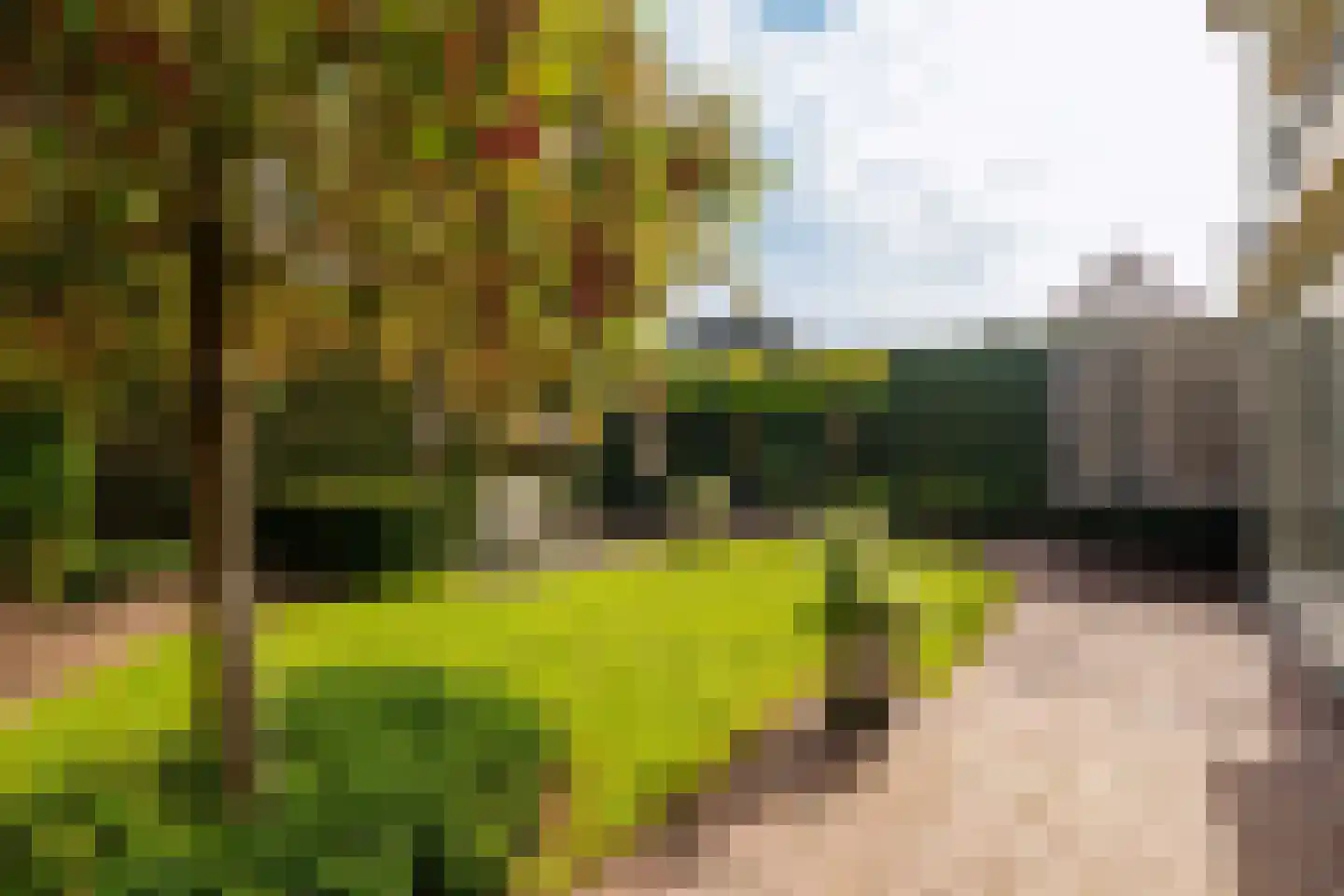 Pembastraat 9 Almere thumbnail 53