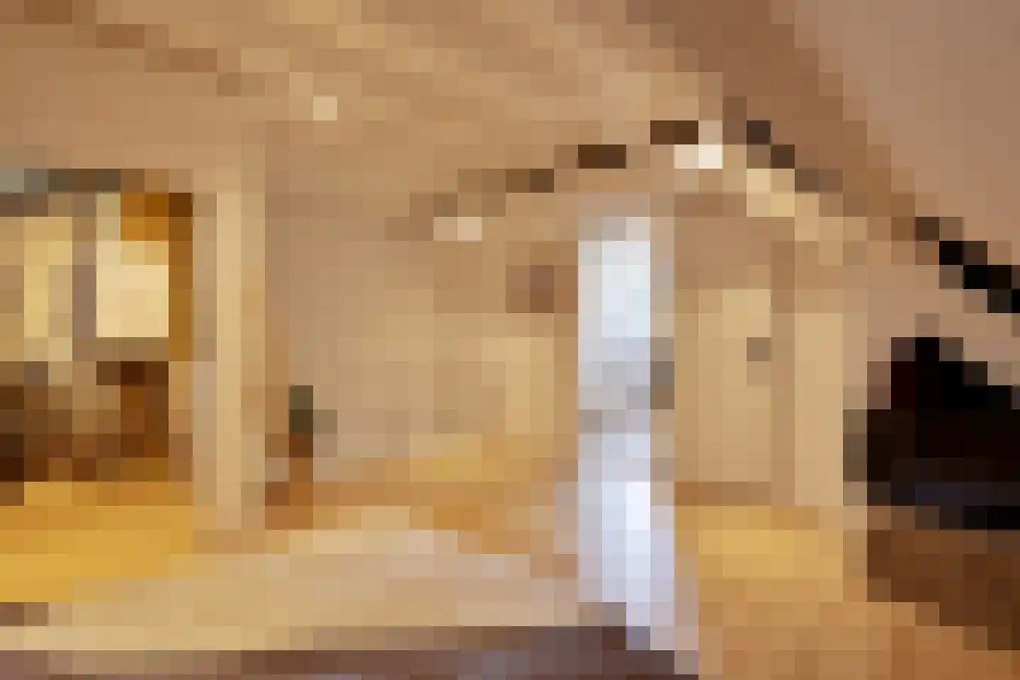 Penatenhof 54 A Maastricht thumbnail 30