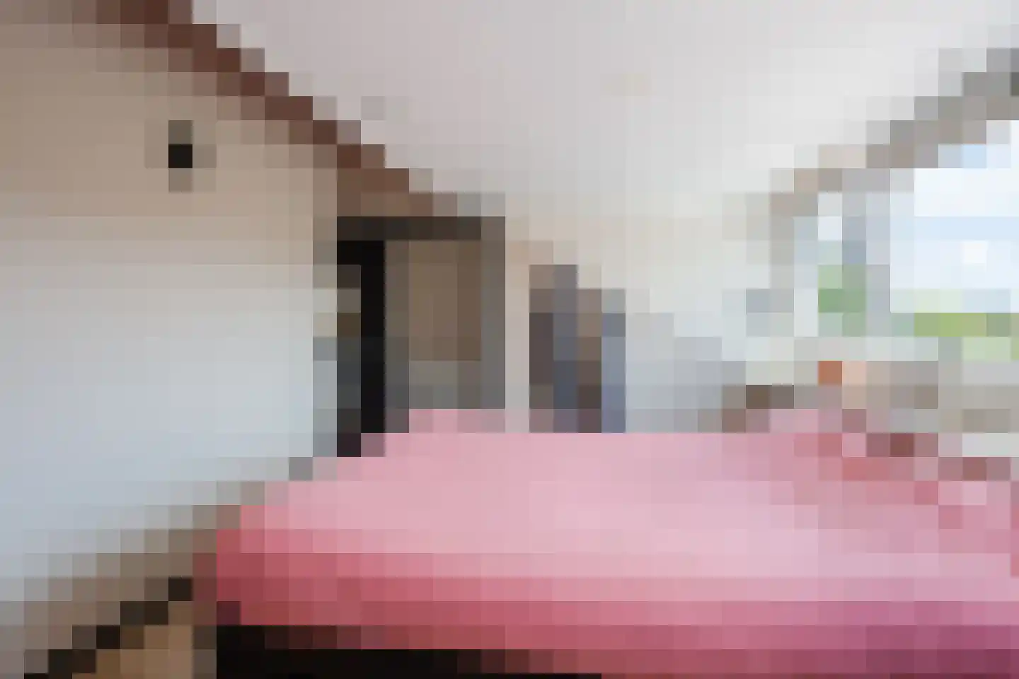 Pendelstraat 35 Twello thumbnail 39