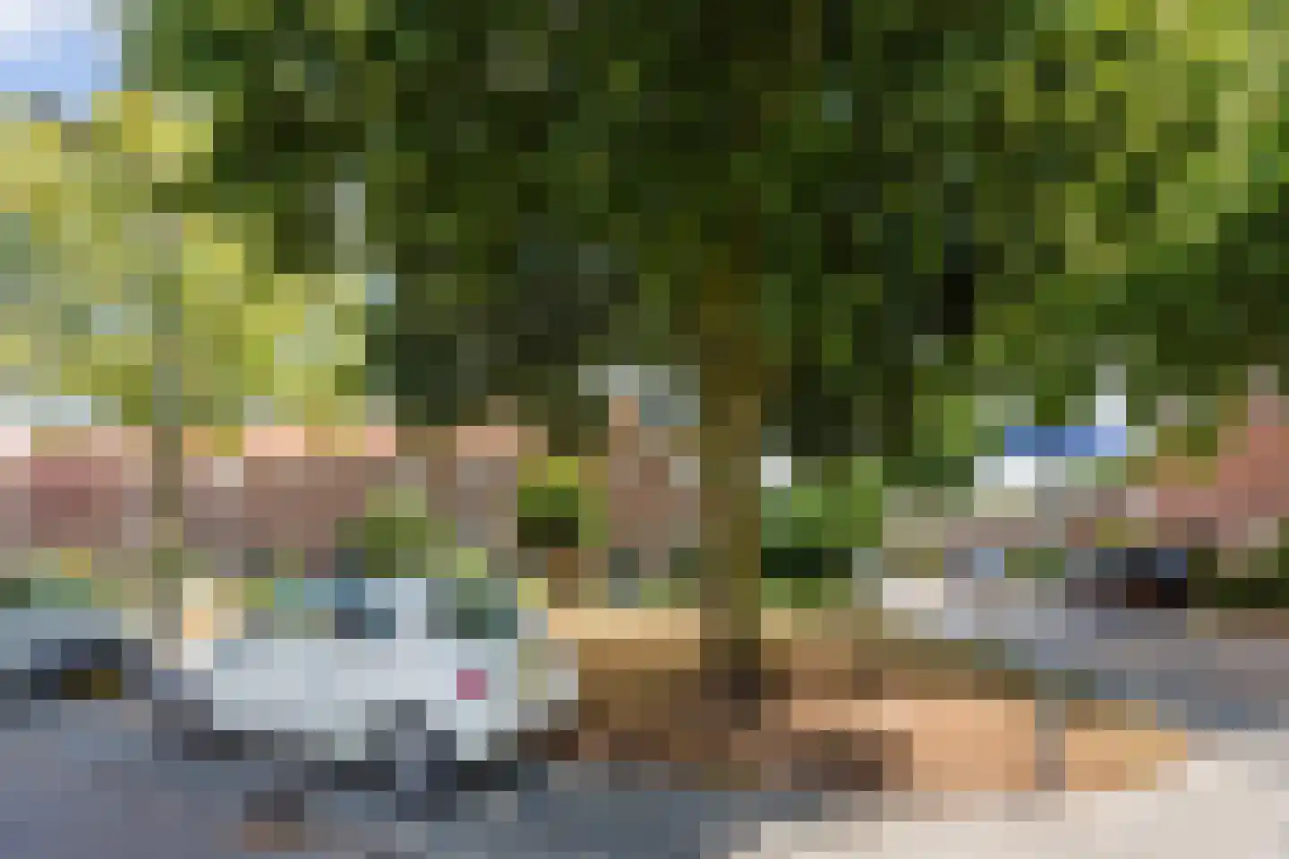 Pendelstraat 35 Twello thumbnail 54