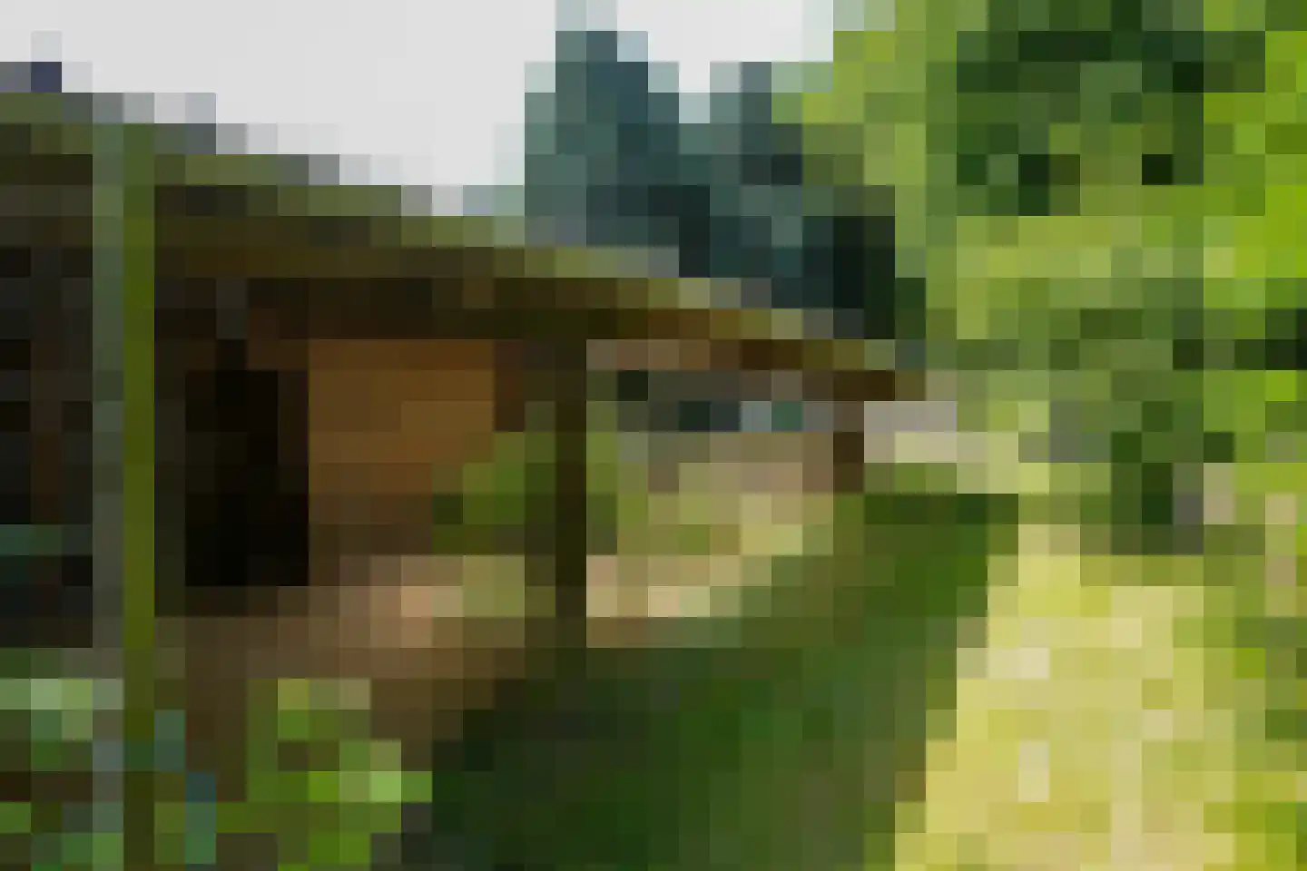 Penderskoolhofweg 4 Klimmen thumbnail 20