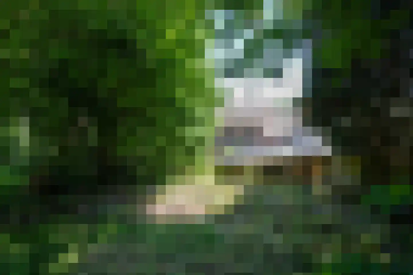 Penderskoolhofweg 4 Klimmen thumbnail 26