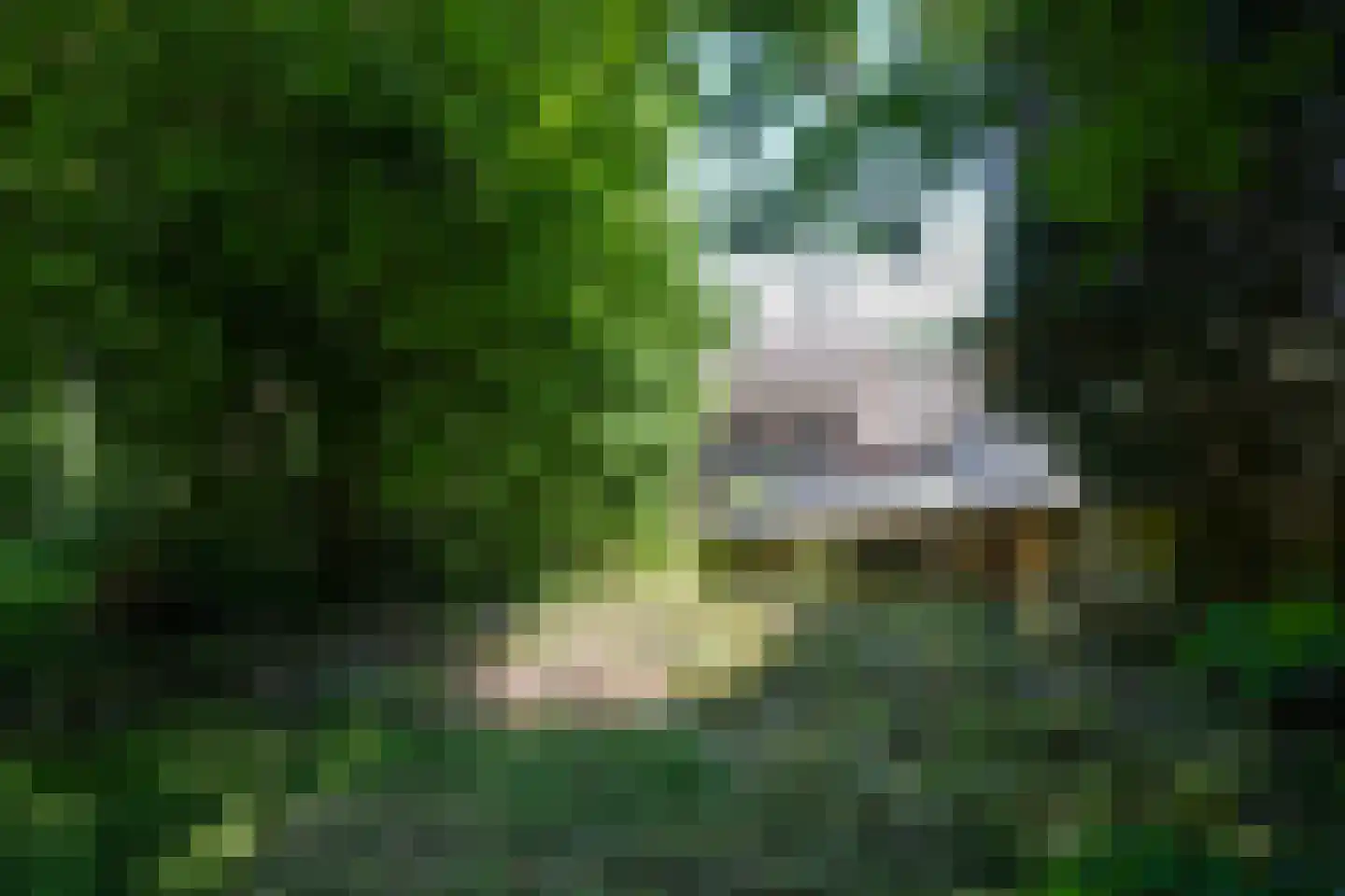 Penderskoolhofweg 4 Klimmen thumbnail 26