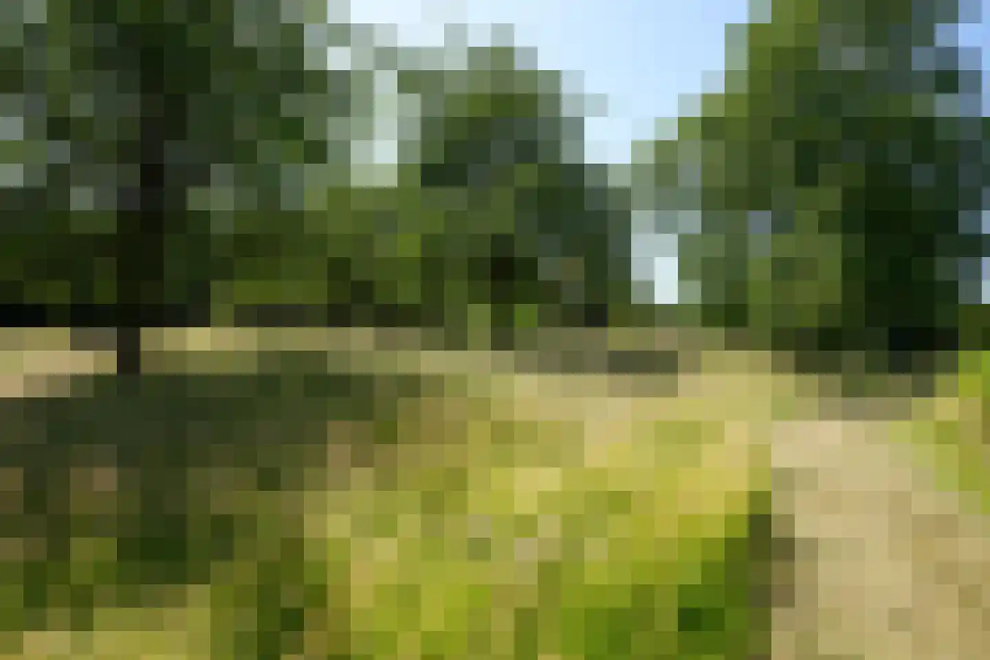 Penderskoolhofweg 4 Klimmen thumbnail 4